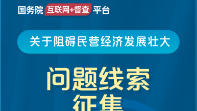 操bxx在线精品国务院“互联网+督查”平台公开征集阻碍民营经济发展壮大问题线索